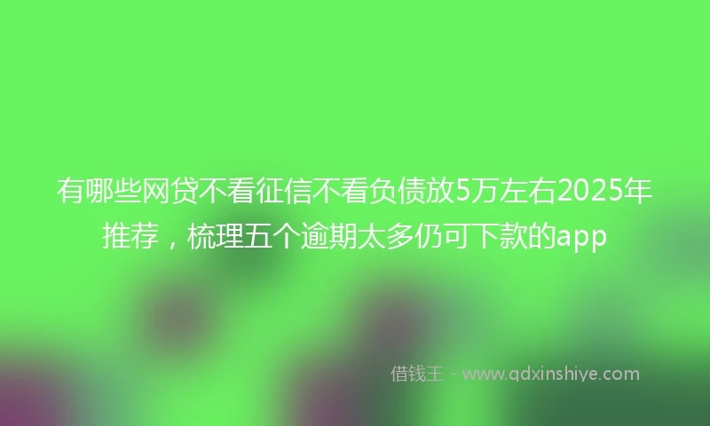 有哪些网贷不看征信不看负债放5万左右2025年推荐，梳理五个逾期太多仍可下款的app