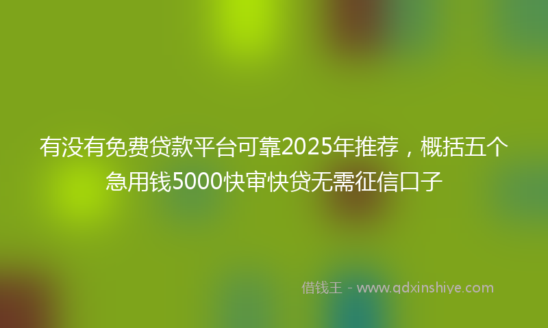有没有免费贷款平台可靠2025年推荐,概括五个急用钱5000快审快贷无需征信口子