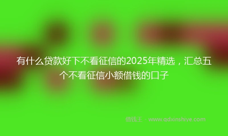 有什么贷款好下不看征信的2025年精选,汇总五个不看征信小额借钱的口子