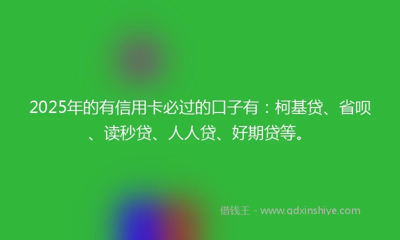 2025年的有信用卡必过的口子有：柯基贷、省呗、读秒贷、人人贷、好期贷等。