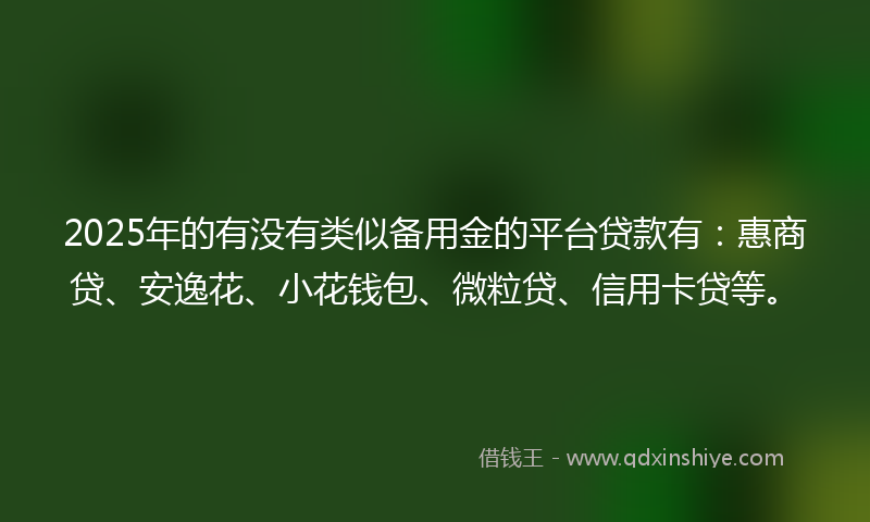 2025年的有没有类似备用金的平台贷款有：惠商贷、安逸花、小花钱包、微粒贷、信用卡贷等。