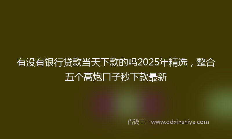 有没有银行贷款当天下款的吗2025年精选，整合五个高炮口子秒下款最新