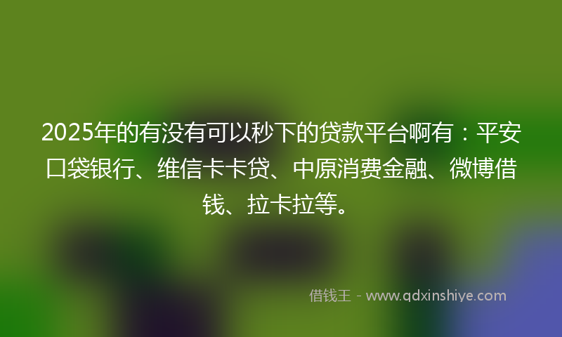 2025年的有没有可以秒下的贷款平台啊有：平安口袋银行、维信卡卡贷、中原消费金融、微博借钱、拉卡拉等。