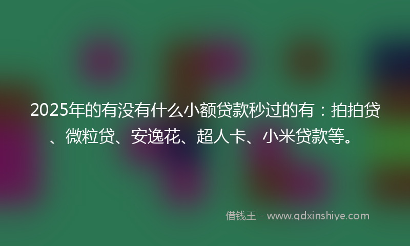 2025年的有没有什么小额贷款秒过的有：拍拍贷、微粒贷、安逸花、超人卡、小米贷款等。