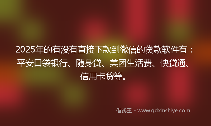 2025年的有没有直接下款到微信的贷款软件有：平安口袋银行、随身贷、美团生活费、快贷通、信用卡贷等。