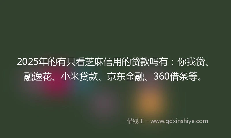 2025年的有只看芝麻信用的贷款吗有：你我贷、融逸花、小米贷款、京东金融、360借条等。