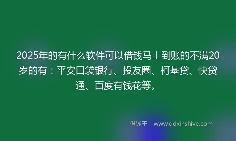2025年的有什么软件可以借钱马上到账的不满20岁的有：平安口袋银行、投友圈、柯基贷、快贷通、百度有钱花等。