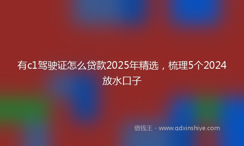 有c1驾驶证怎么贷款2025年精选，梳理5个2024放水口子