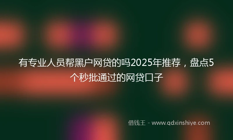 有专业人员帮黑户网贷的吗2025年推荐，盘点5个秒批通过的网贷口子