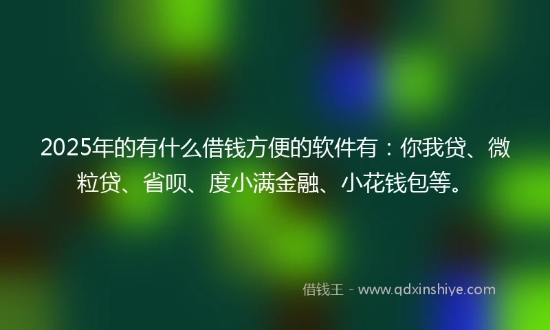 2025年的有什么借钱方便的软件有：你我贷、微粒贷、省呗、度小满金融、小花钱包等。