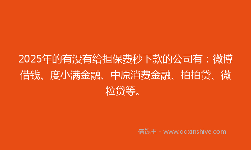 2025年的有没有给担保费秒下款的公司有：微博借钱、度小满金融、中原消费金融、拍拍贷、微粒贷等。