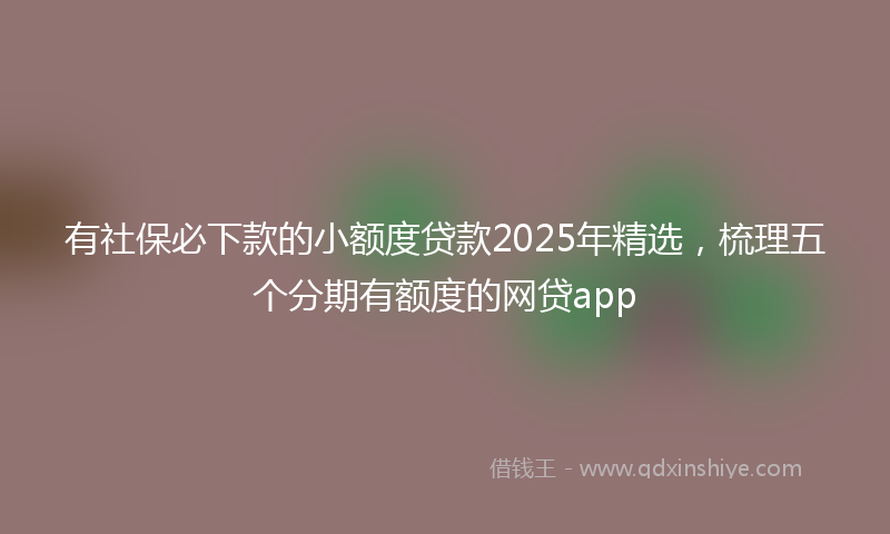 有社保必下款的小额度贷款2025年精选，梳理五个分期有额度的网贷app