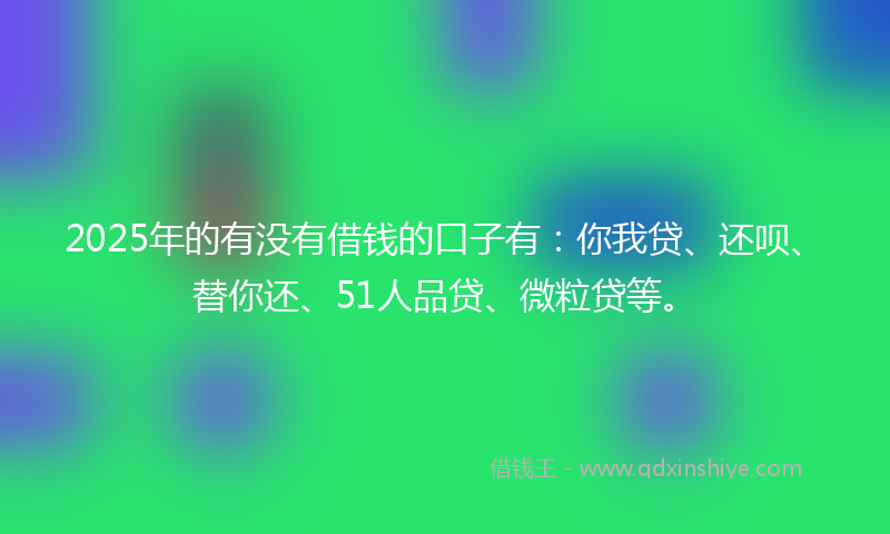 2025年的有没有借钱的口子有：你我贷、还呗、替你还、51人品贷、微粒贷等。