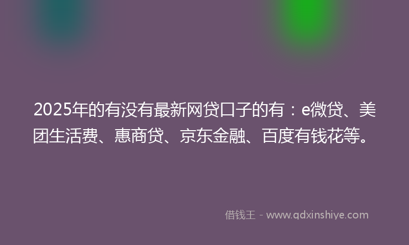2025年的有没有最新网贷口子的有：e微贷、美团生活费、惠商贷、京东金融、百度有钱花等。