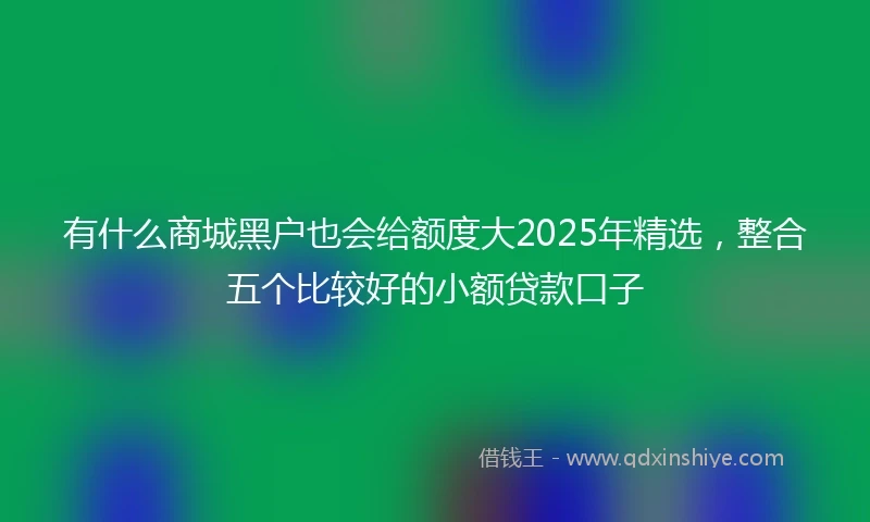有什么商城黑户也会给额度大2025年精选，整合五个比较好的小额贷款口子