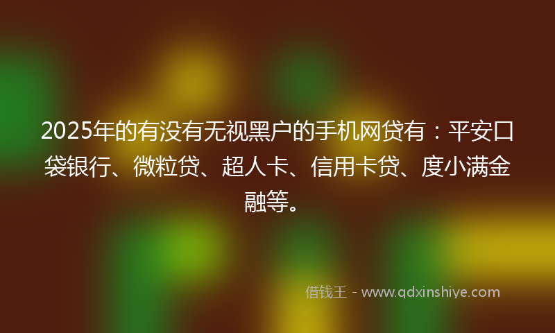 2025年的有没有无视黑户的手机网贷有：平安口袋银行、微粒贷、超人卡、信用卡贷、度小满金融等。