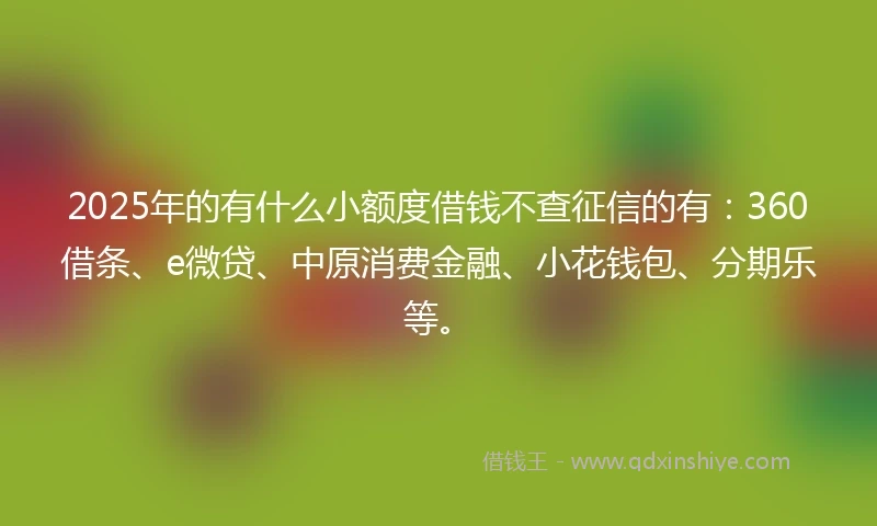 2025年的有什么小额度借钱不查征信的有：360借条、e微贷、中原消费金融、小花钱包、分期乐等。