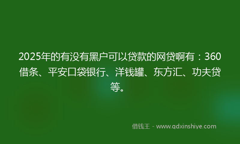 2025年的有没有黑户可以贷款的网贷啊有：360借条、平安口袋银行、洋钱罐、东方汇、功夫贷等。