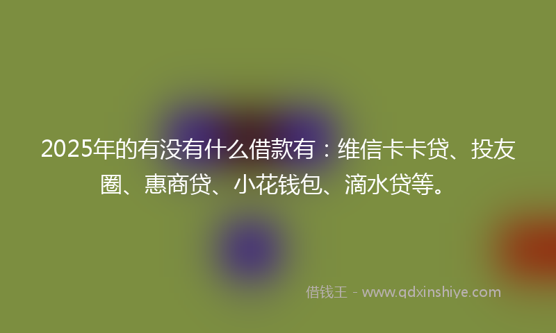 2025年的有没有什么借款有：维信卡卡贷、投友圈、惠商贷、小花钱包、滴水贷等。