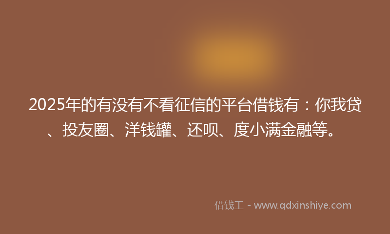 2025年的有没有不看征信的平台借钱有：你我贷、投友圈、洋钱罐、还呗、度小满金融等。
