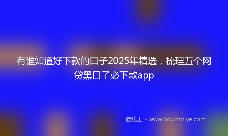 有谁知道好下款的口子2025年精选，梳理五个网贷黑口子必下款app