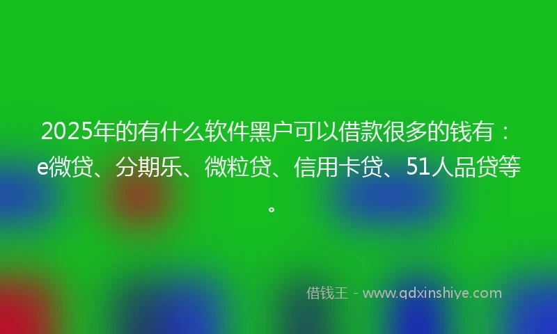 2025年的有什么软件黑户可以借款很多的钱有：e微贷、分期乐、微粒贷、信用卡贷、51人品贷等。