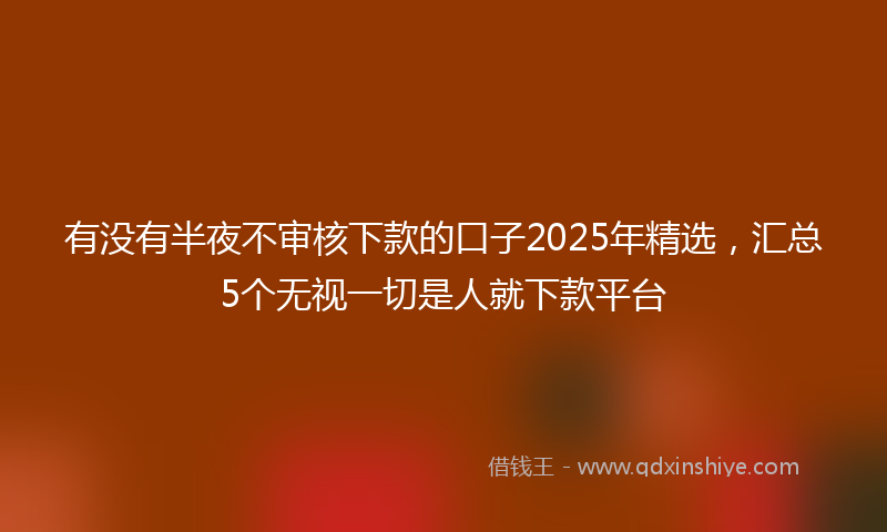 有没有半夜不审核下款的口子2025年精选，汇总5个无视一切是人就下款平台