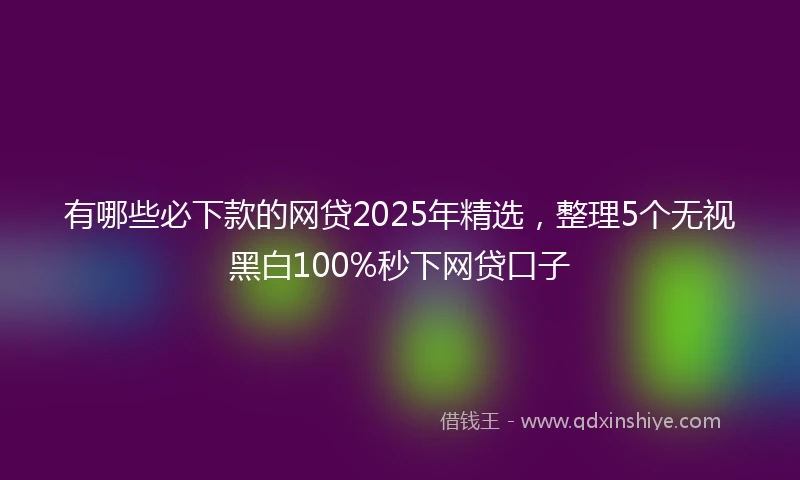 有哪些必下款的网贷2025年精选，整理5个无视黑白100%秒下网贷口子