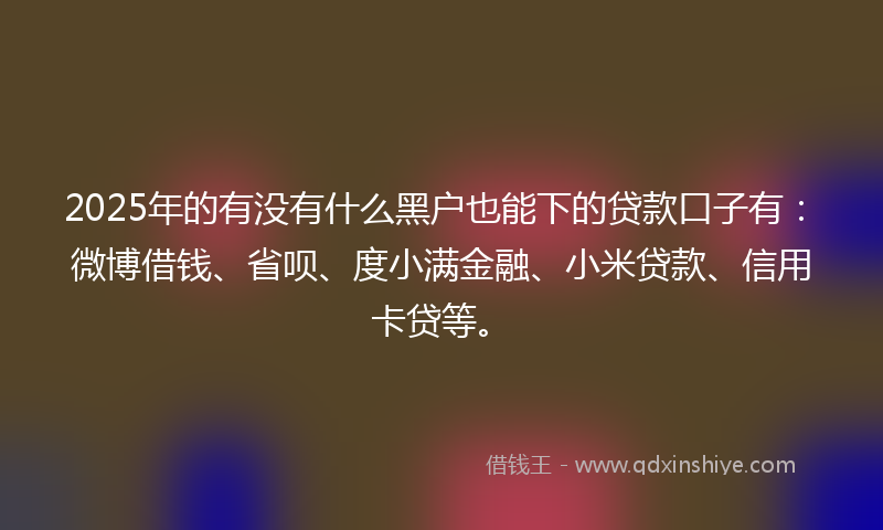 2025年的有没有什么黑户也能下的贷款口子有：微博借钱、省呗、度小满金融、小米贷款、信用卡贷等。