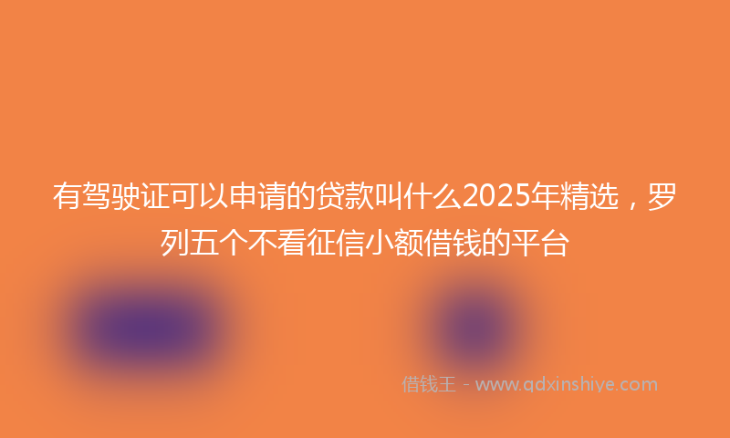 有驾驶证可以申请的贷款叫什么2025年精选，罗列五个不看征信小额借钱的平台