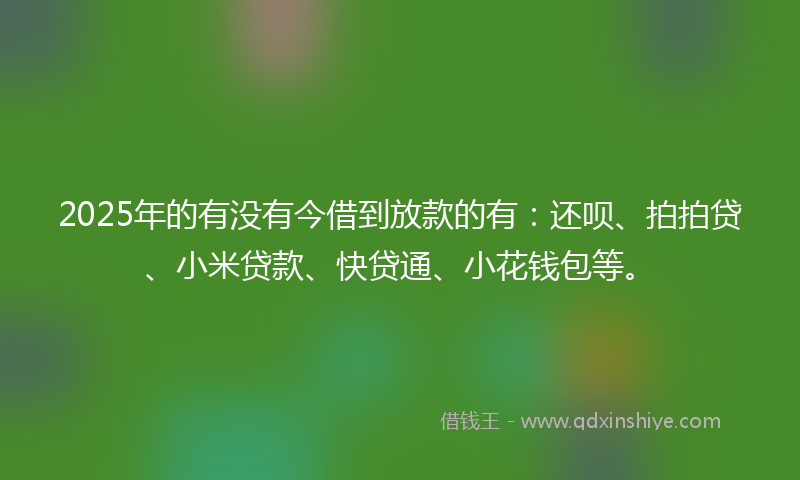 2025年的有没有今借到放款的有：还呗、拍拍贷、小米贷款、快贷通、小花钱包等。
