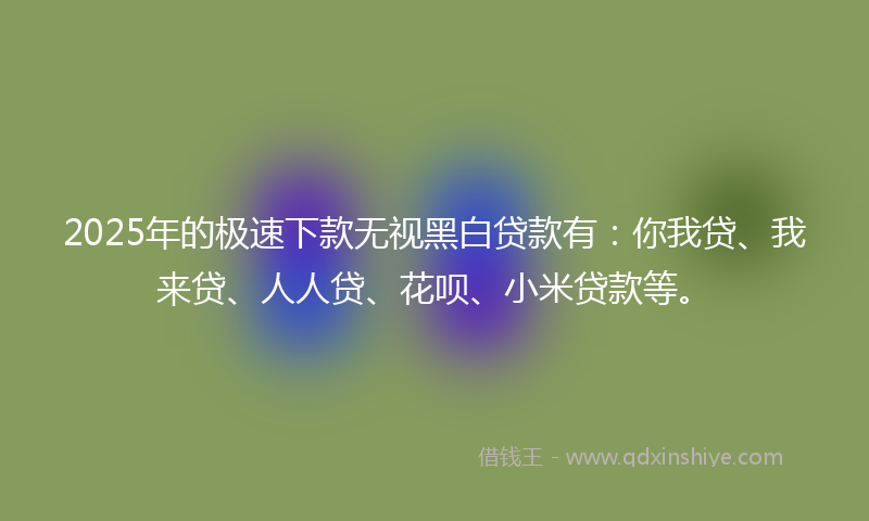 2025年的极速下款无视黑白贷款有：你我贷、我来贷、人人贷、花呗、小米贷款等。