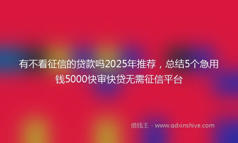 有不看征信的贷款吗2025年推荐，总结5个急用钱5000快审快贷无需征信平台