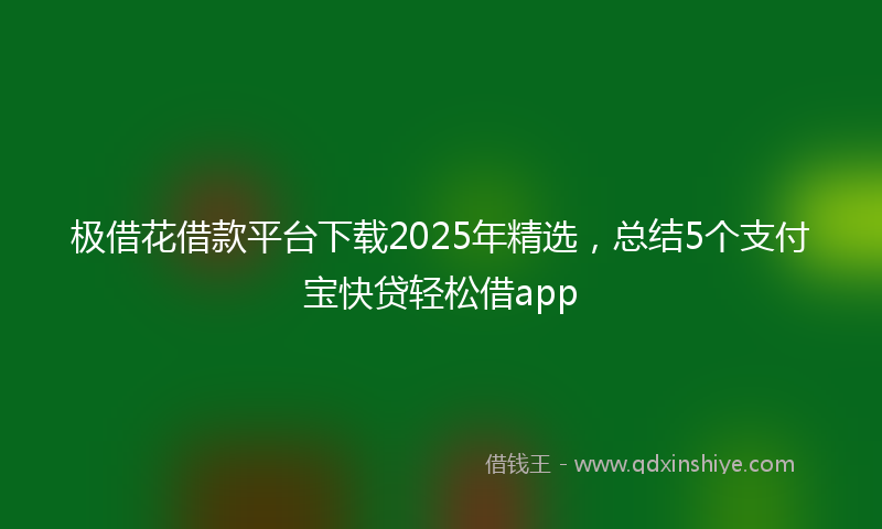 极借花借款平台下载2025年精选，总结5个支付宝快贷轻松借app