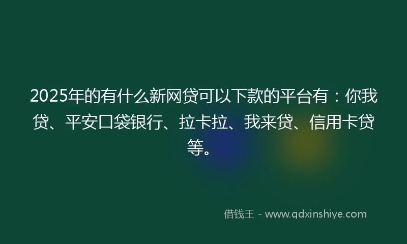 2025年的有什么新网贷可以下款的平台有：你我贷、平安口袋银行、拉卡拉、我来贷、信用卡贷等。