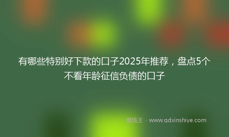 有哪些特别好下款的口子2025年推荐，盘点5个不看年龄征信负债的口子