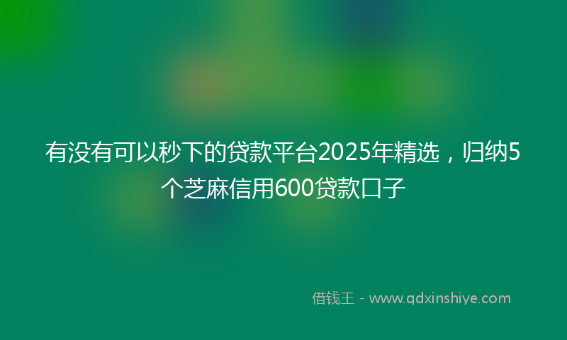有没有可以秒下的贷款平台2025年精选，归纳5个芝麻信用600贷款口子