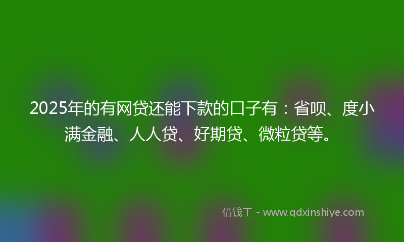 2025年的有网贷还能下款的口子有：省呗、度小满金融、人人贷、好期贷、微粒贷等。
