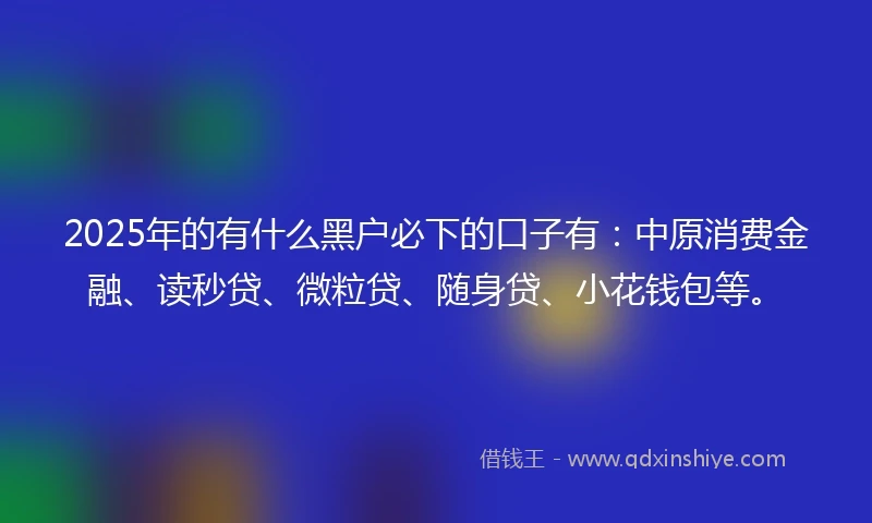 2025年的有什么黑户必下的口子有:中原消费金融、读秒贷、微粒贷、随身贷、小花钱包等。