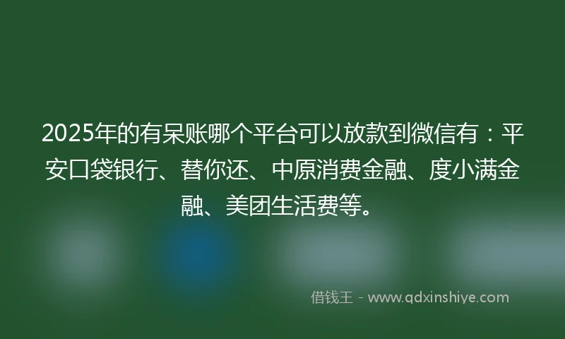 2025年的有呆账哪个平台可以放款到微信有：平安口袋银行、替你还、中原消费金融、度小满金融、美团生活费等。