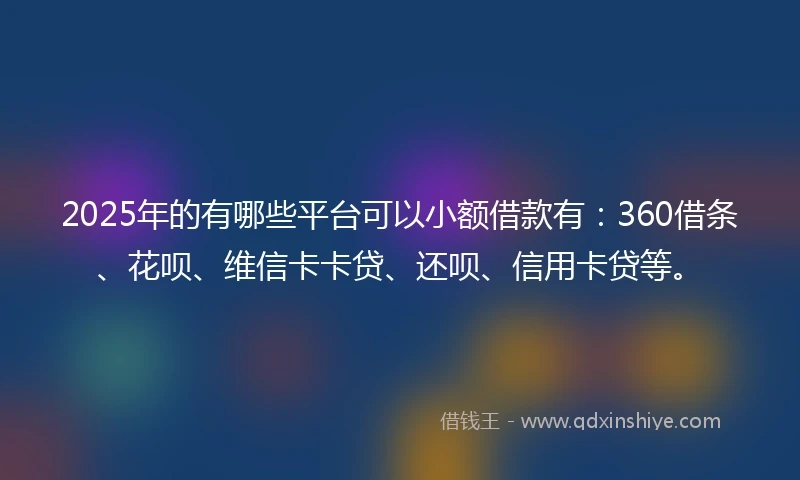 2025年的有哪些平台可以小额借款有：360借条、花呗、维信卡卡贷、还呗、信用卡贷等。