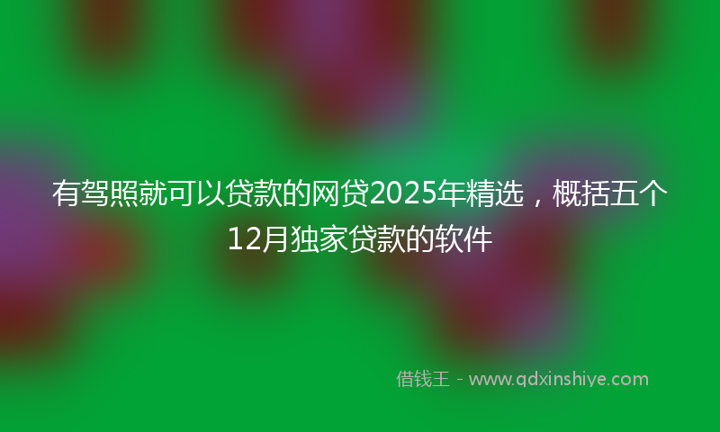 有驾照就可以贷款的网贷2025年精选，概括五个12月独家贷款的软件