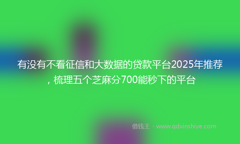 有没有不看征信和大数据的贷款平台2025年推荐，梳理五个芝麻分700能秒下的平台