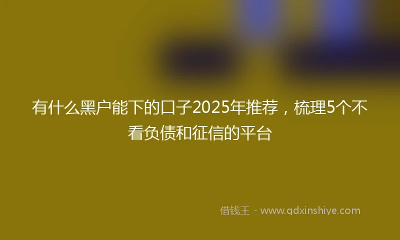 有什么黑户能下的口子2025年推荐，梳理5个不看负债和征信的平台