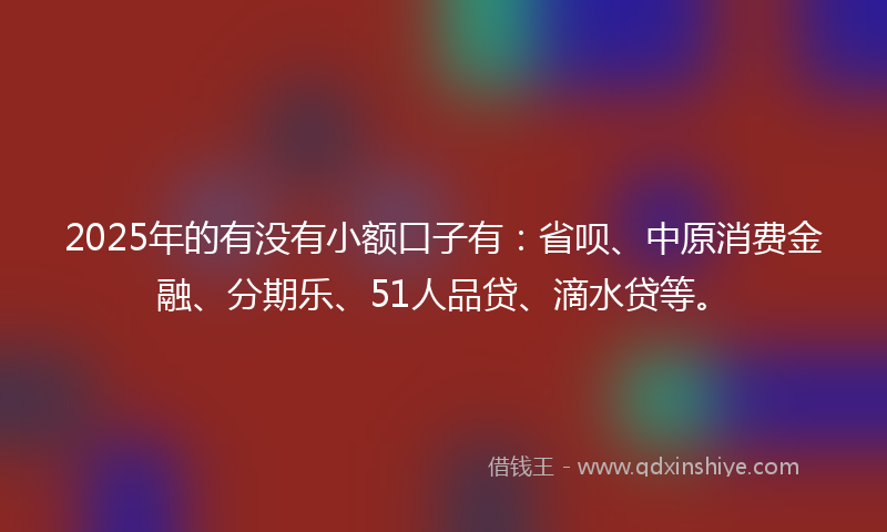 2025年的有没有小额口子有：省呗、中原消费金融、分期乐、51人品贷、滴水贷等。