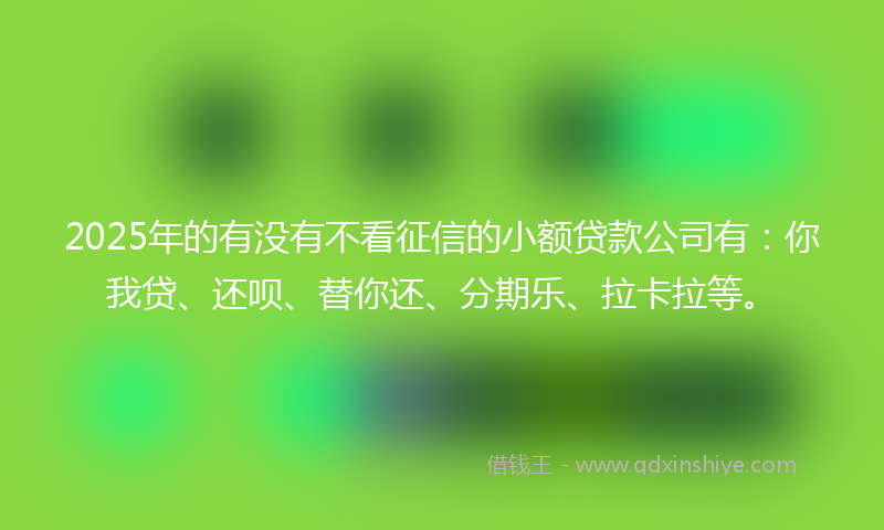 2025年的有没有不看征信的小额贷款公司有：你我贷、还呗、替你还、分期乐、拉卡拉等。