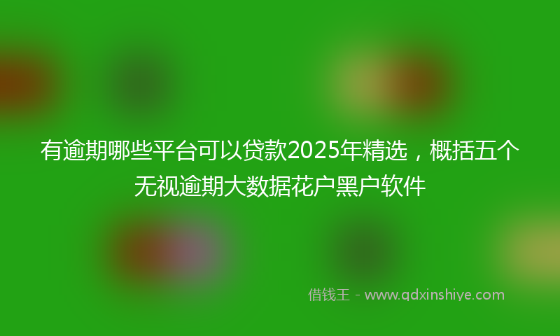 有逾期哪些平台可以贷款2025年精选，概括五个无视逾期大数据花户黑户软件
