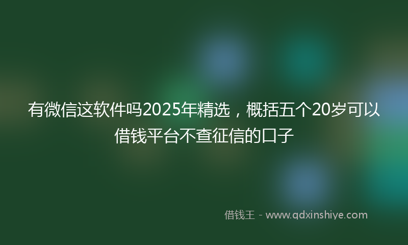 有微信这软件吗2025年精选，概括五个20岁可以借钱平台不查征信的口子