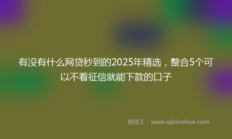 有没有什么网贷秒到的2025年精选，整合5个可以不看征信就能下款的口子