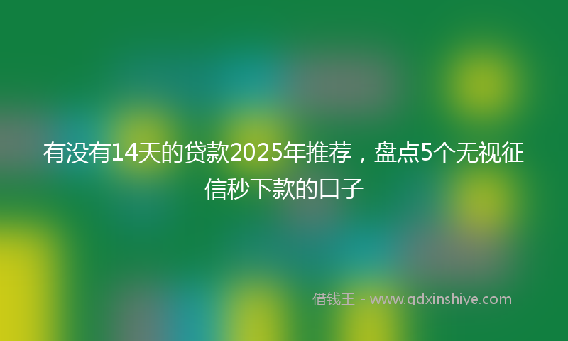 有没有14天的贷款2025年推荐，盘点5个无视征信秒下款的口子
